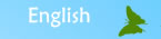 English