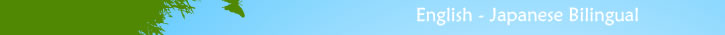 English - Japanease Bilingual