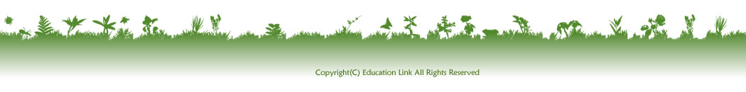 Education Link Pre-School