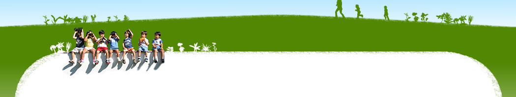 English - Japanese Bilingual, Education Link Pre-School