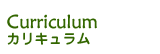 Curriculum